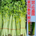 津艺翠冠香芹种子四季小香芹无纤维黄绿色速生抗倒伏芹菜种籽