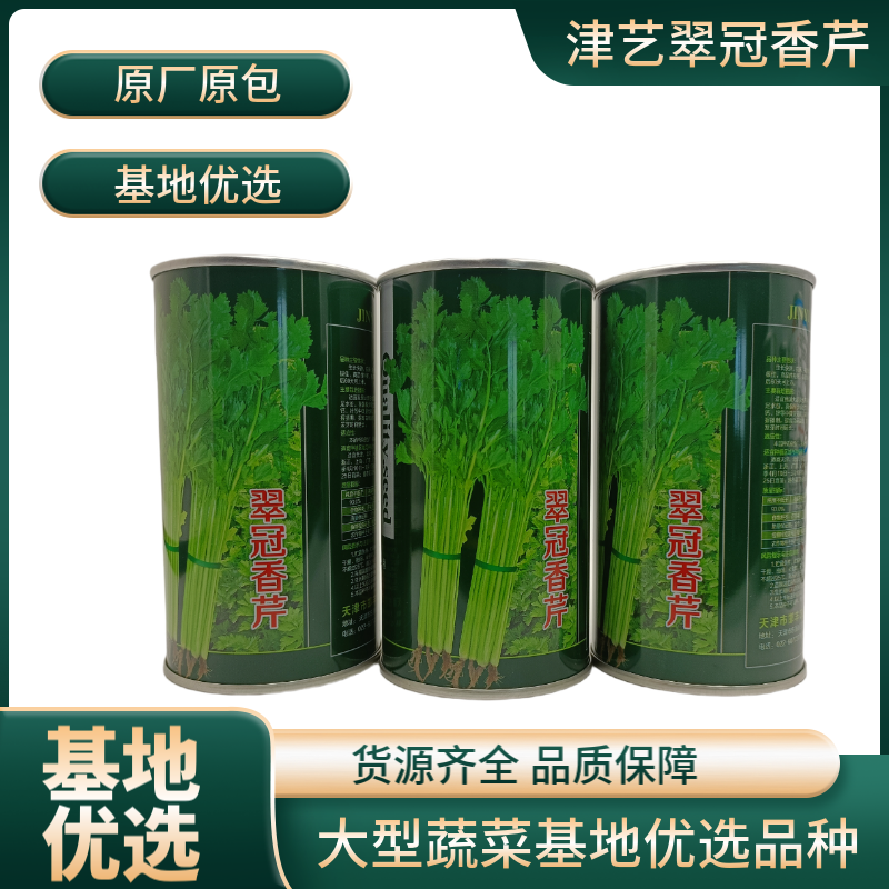 津艺翠冠香芹种子四季小香芹无纤维黄绿色速生抗倒伏芹菜种籽