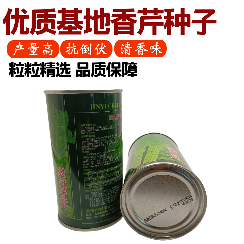津艺翠冠香芹种子四季小香芹无纤维黄绿色速生抗倒伏芹菜种籽