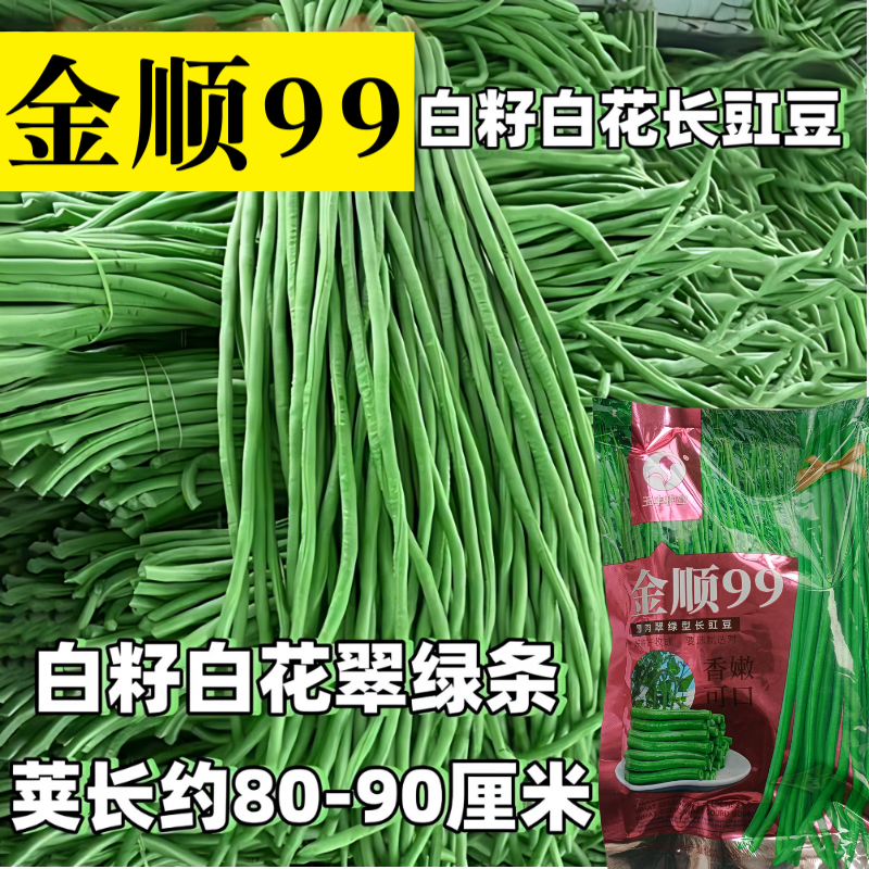 【白籽白花耐热】金顺99豆角种子长豇豆双荚率高厚肉翠绿条