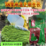 【白籽白花耐热】金顺99豆角种子长豇豆双荚率高厚肉翠绿条