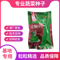 【白籽白花耐热】金顺99豆角种子长豇豆双荚率高厚肉翠绿条