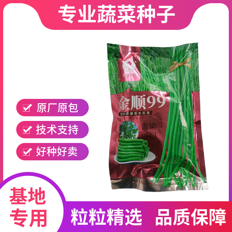 【白籽白花耐热】金顺99豆角种子长豇豆双荚率高厚肉翠绿条