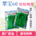 正源翠宝60尖叶甜菜心种子正宗广东甜菜心菜苔种籽四季蔬菜