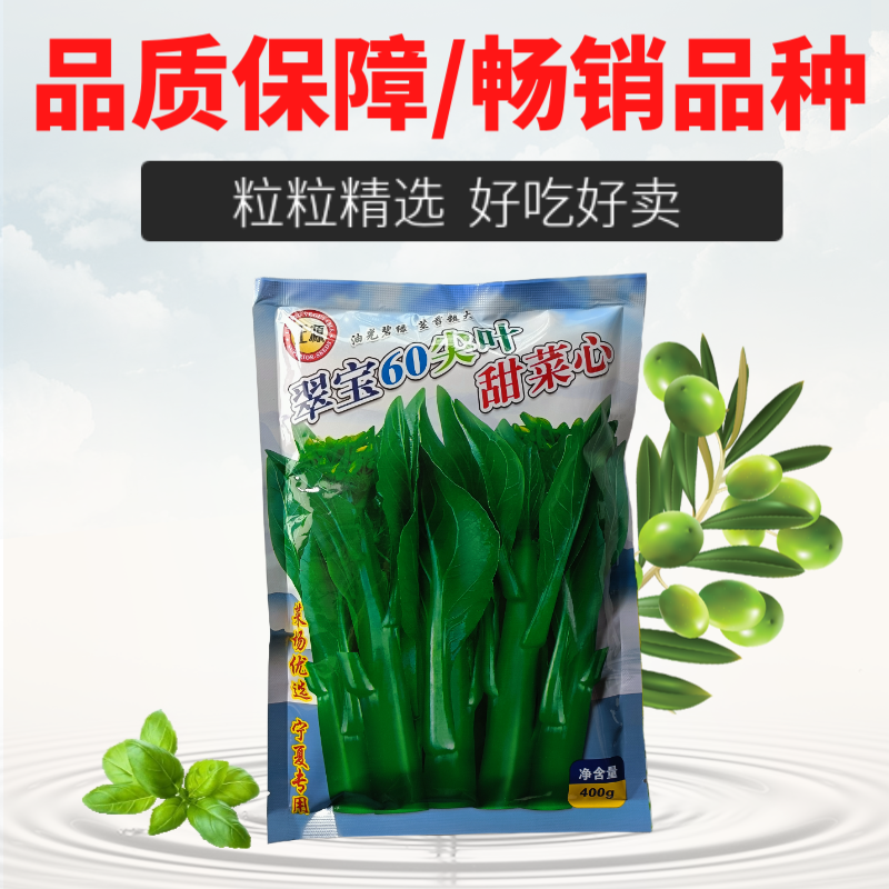 正源翠宝60尖叶甜菜心种子正宗广东甜菜心菜苔种籽四季蔬菜