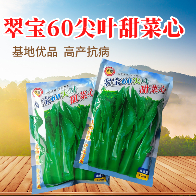 正源翠宝60尖叶甜菜心种子正宗广东甜菜心菜苔种籽四季蔬菜
