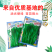 正源翠宝60尖叶甜菜心种子正宗广东甜菜心菜苔种籽四季蔬菜