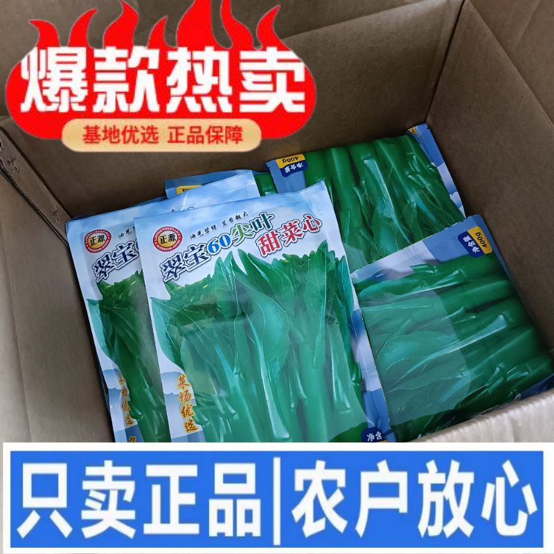 正源翠宝60尖叶甜菜心种子正宗广东甜菜心菜苔种籽四季蔬菜