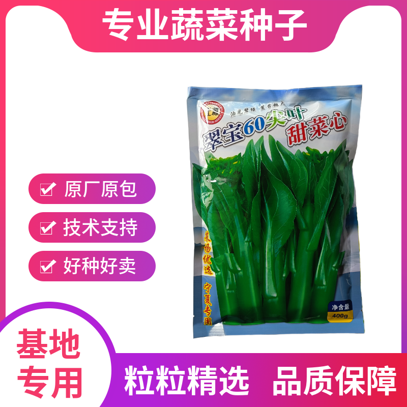 正源翠宝60尖叶甜菜心种子正宗广东甜菜心菜苔种籽四季蔬菜