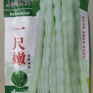 一尺嫩九粒白种子荚长30公分白花四季豆种子