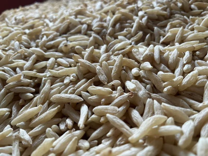 25版生态麦冬包过检