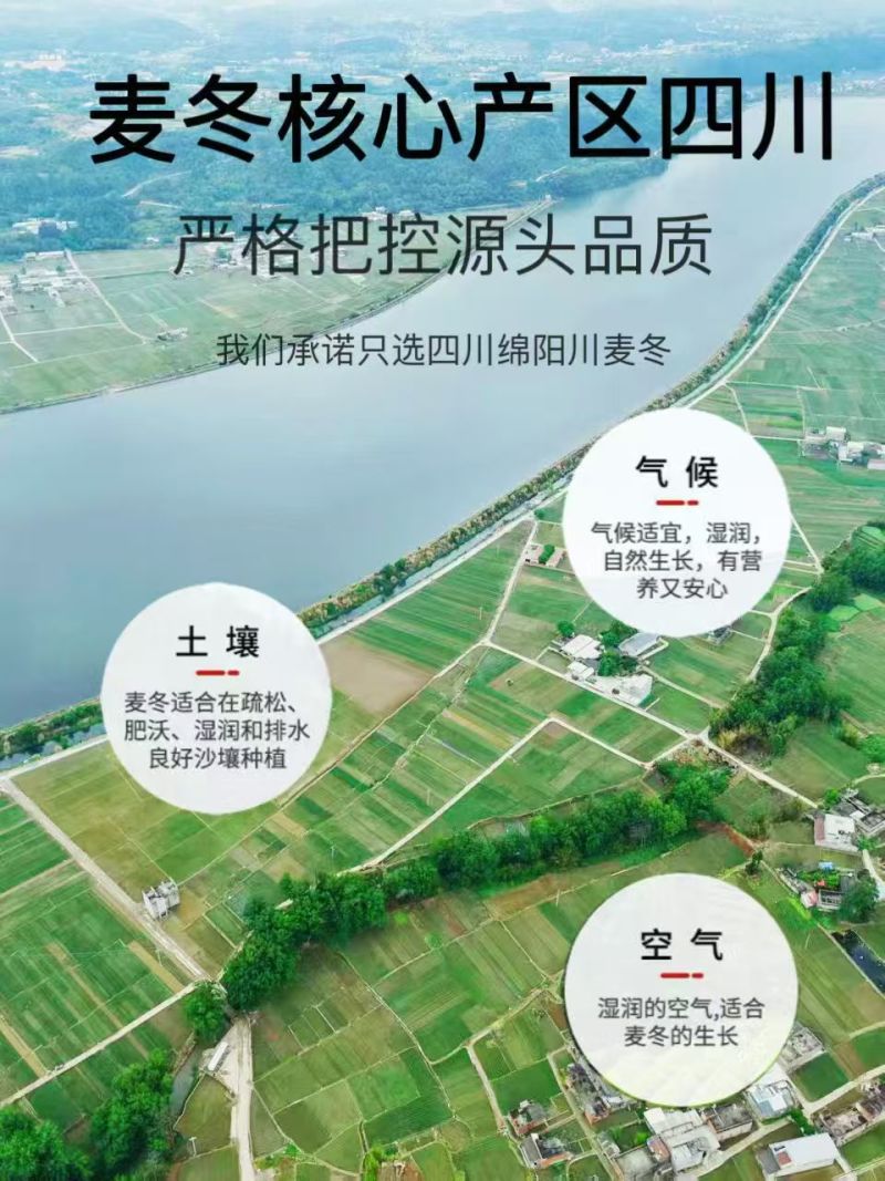 25版生态麦冬包过检