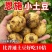 恩施精品小土豆支持一件代发