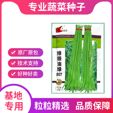 绿领绿油807豇豆种子早熟高产耐热四季播大田长豆角原装品