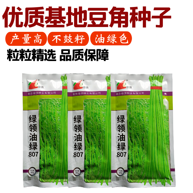 绿领绿油807豇豆种子早熟高产耐热四季播大田长豆角原装品