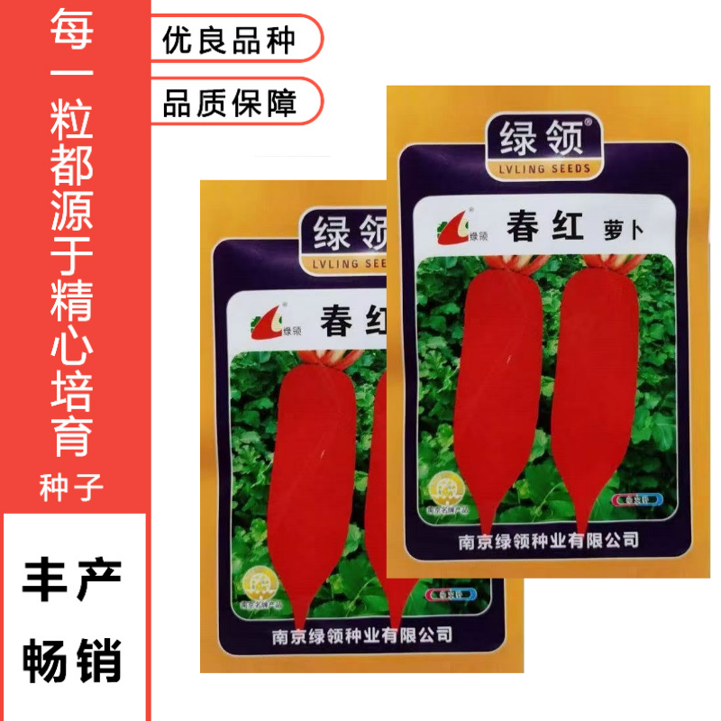 绿领春红萝卜种子中早熟高产抗病短圆筒形不易糠心萝卜种子白