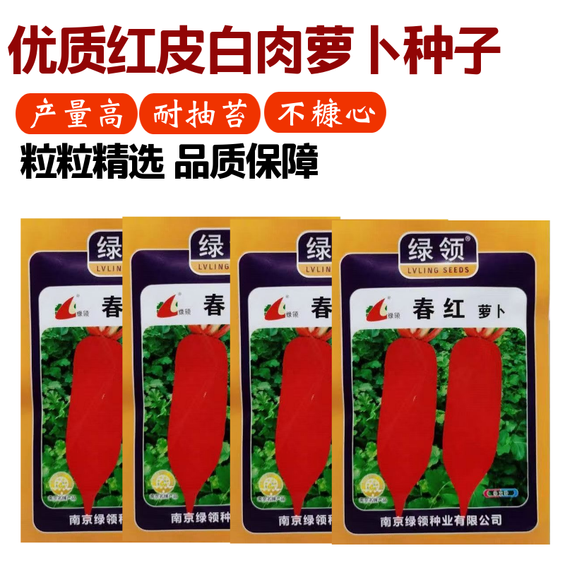 绿领春红萝卜种子中早熟高产抗病短圆筒形不易糠心萝卜种子白