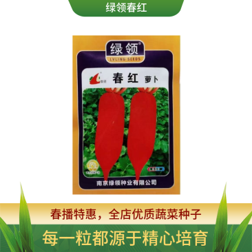 绿领春红萝卜种子中早熟高产抗病短圆筒形不易糠心萝卜种子白