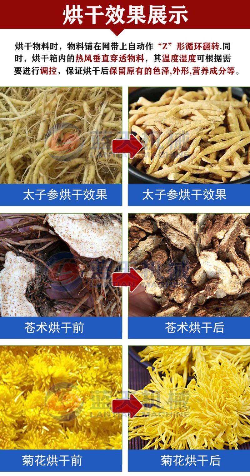 太子参烘干机中药材孩儿参四叶参童子参烘干机