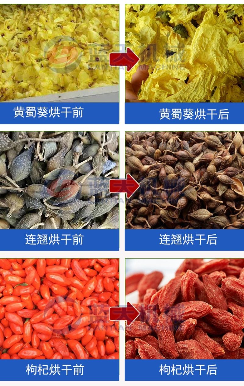太子参烘干机中药材孩儿参四叶参童子参烘干机