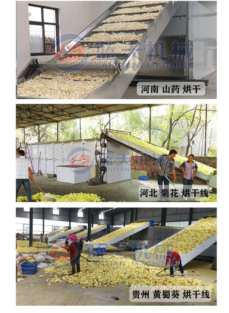 太子参烘干机中药材孩儿参四叶参童子参烘干机