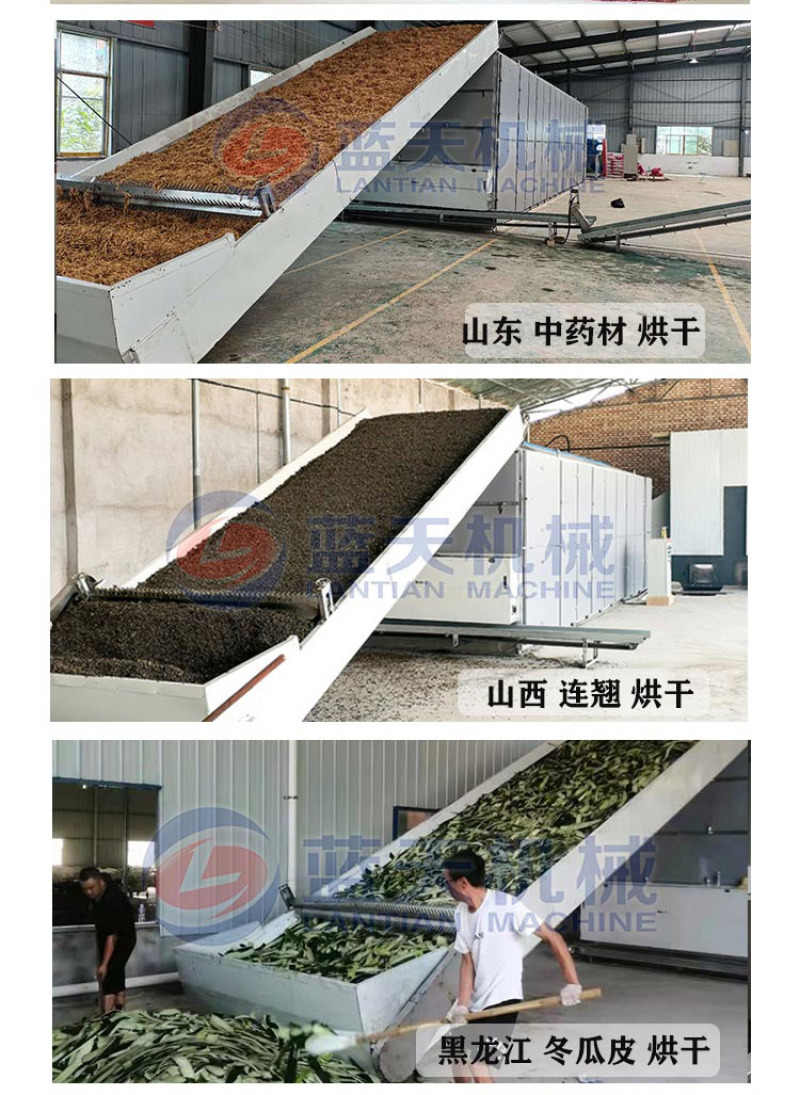 太子参烘干机中药材孩儿参四叶参童子参烘干机