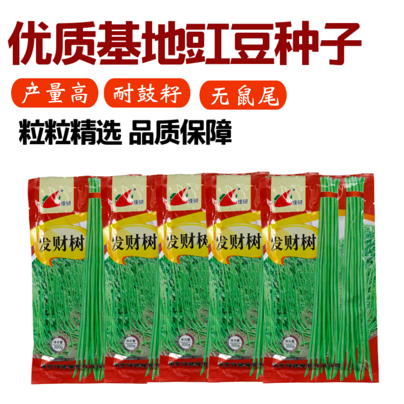 绿领发财树绿豇豆种子早熟高产耐热四季播大田长豆角原装品种