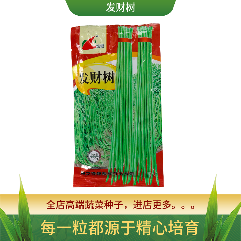 绿领发财树绿豇豆种子早熟高产耐热四季播大田长豆角原装品种