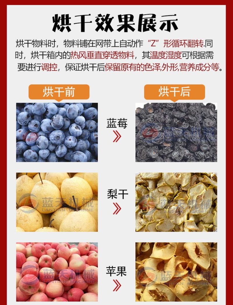 网带杏子烘干机新疆杏皮干杏脯吊干杏烘干机