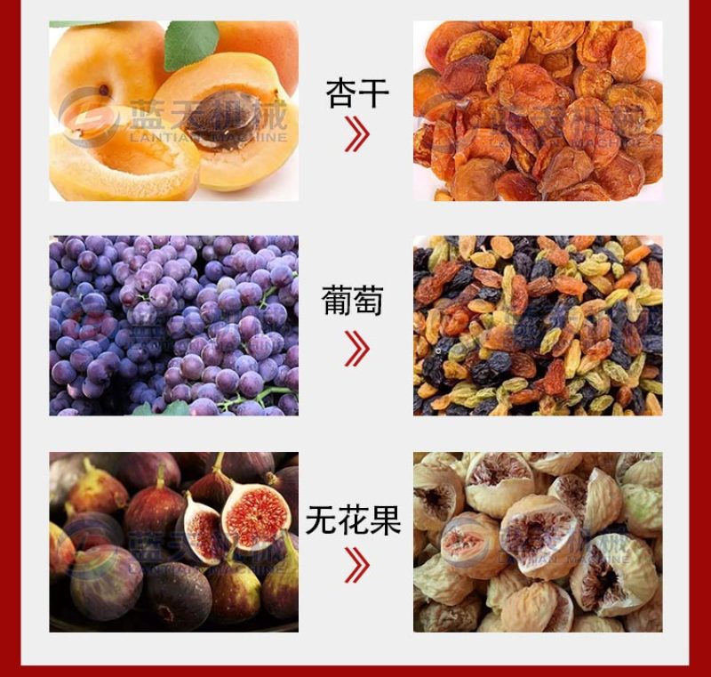 网带杏子烘干机新疆杏皮干杏脯吊干杏烘干机