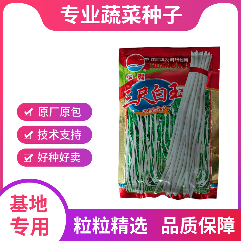 华赣三尺白玉豆角种子早熟荚粗糯性好厚肉银白纯白豆角种江西