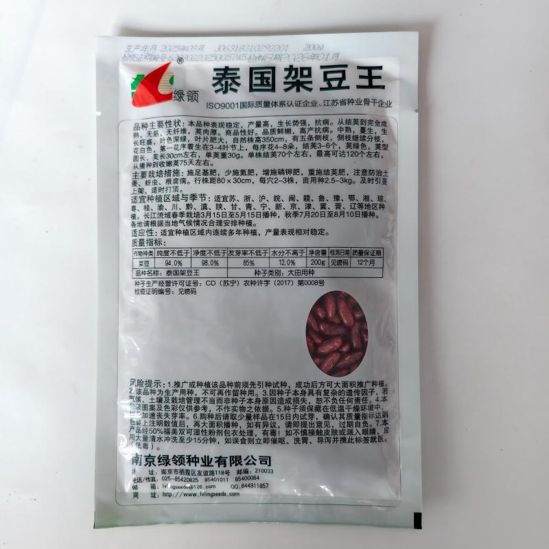 四季豆种子绿领泰国架豆王中熟高产抗病无筋荚绿色肉厚四季豆