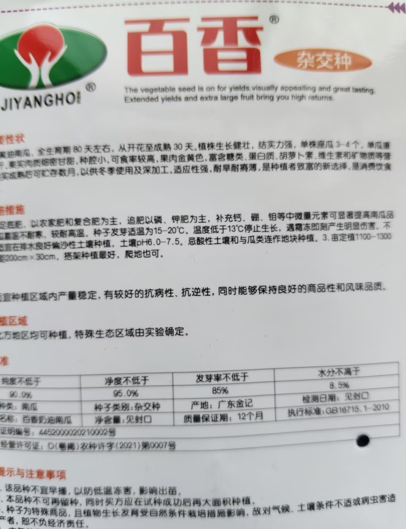 百香奶油南瓜种子一代杂交粉糯香甜自带奶香