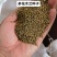 多花木兰种子