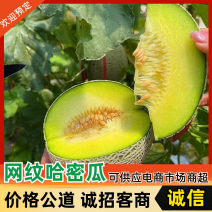 山东寿光网纹瓜网纹哈密瓜上市中量大质优品质保证口感脆甜
