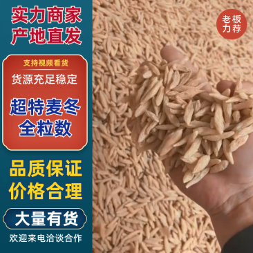 一级麦冬川麦冬产地直供物信看货品质保证2斤起包邮