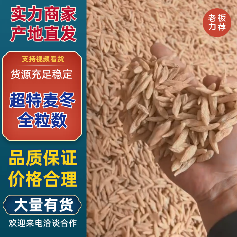 一级麦冬川麦冬产地直供物信看货品质保证2斤起包邮