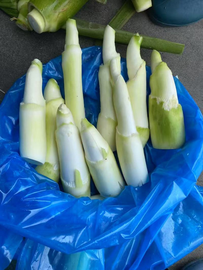 茭白笋电商平台茭白全面价格超低供货平台茭白商超茭瓜高瓜