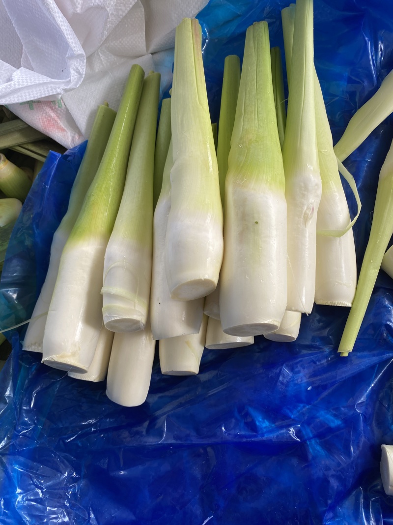 茭白笋电商平台茭白全面价格超低供货平台茭白商超茭瓜高瓜