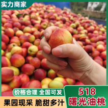 【油桃】湖北油桃，518曙光油桃中油系，品种齐全供应全国