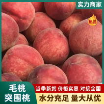 毛桃突围桃【湖北毛桃】红不软基地直供，品种齐全，供应全国