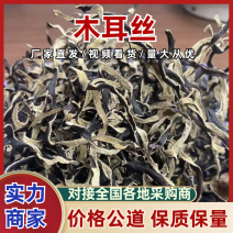木耳丝精品给木耳保质保量对接电商市场等量大优惠