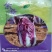 原装紫白菜种子紫裔白菜种子口感鲜嫩，商品性好纯度高