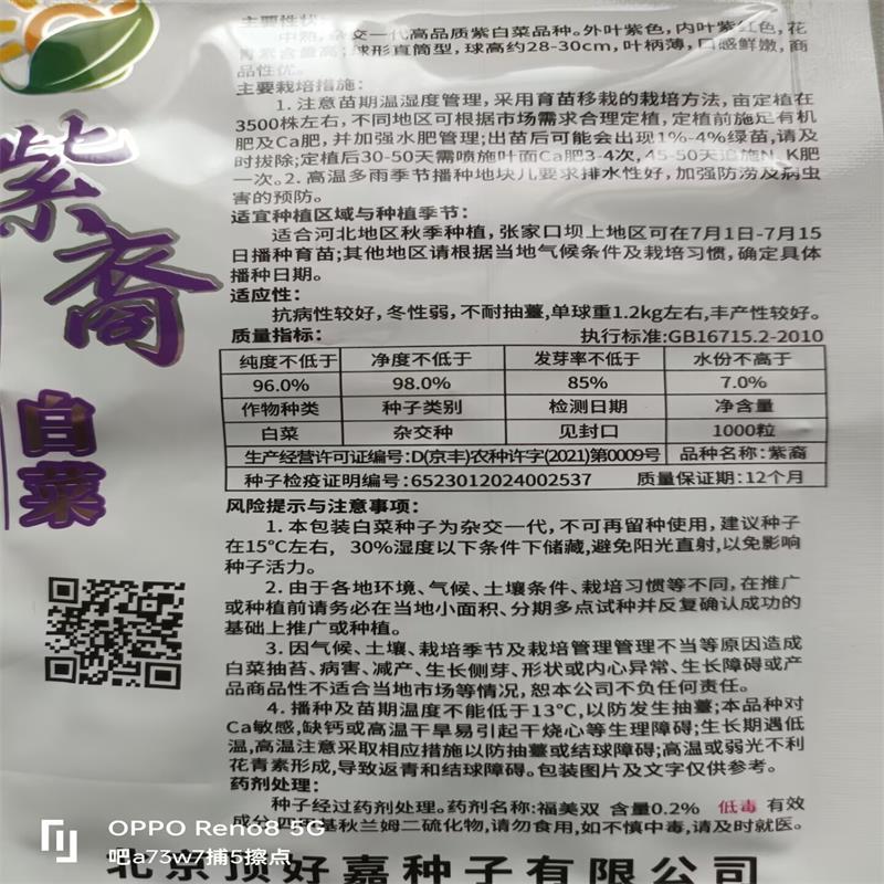 原装紫白菜种子紫裔白菜种子口感鲜嫩，商品性好纯度高