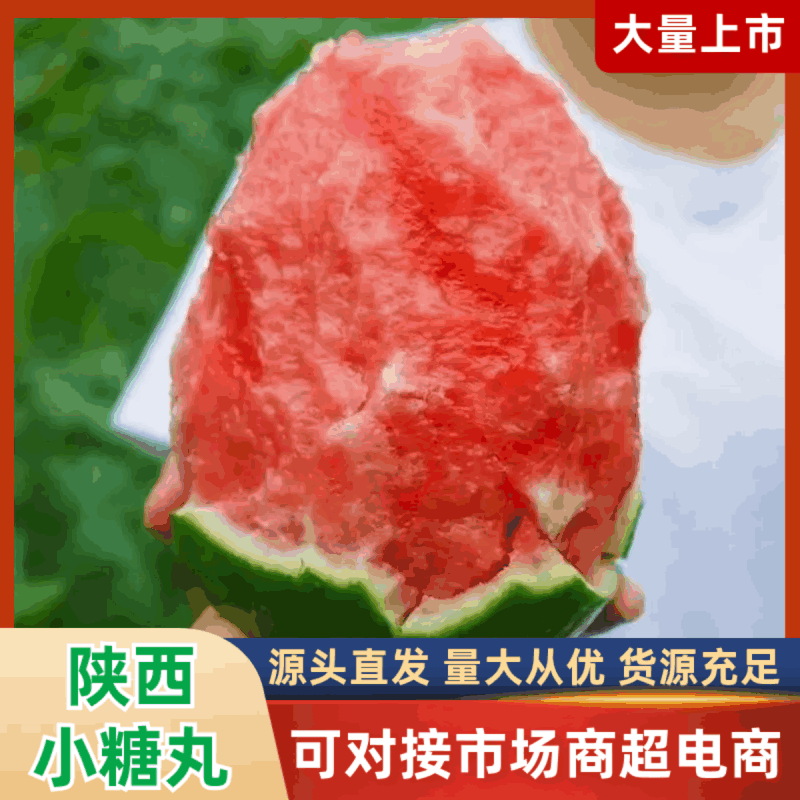 陕西小糖丸西瓜产地直销量大质优价格优惠欢迎咨询采购