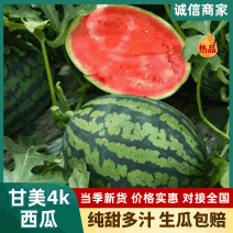 甘美4k西瓜产地直销量大质优价格优惠欢迎咨询采购