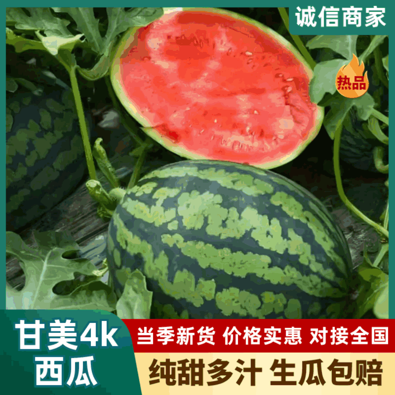 甘美4k西瓜产地直销量大质优价格优惠欢迎咨询采购