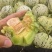 花蕾甜瓜，花美人甜瓜，莘县甜瓜，一手货源量大从优货发全国