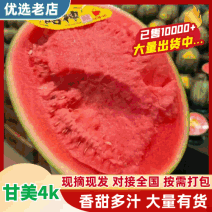 甘美4k西瓜产地直销量大质优价格优惠欢迎咨询采购