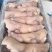 沂南县【猪头肉】8成熟，1斤1包山东临沂自家工厂干净卫生